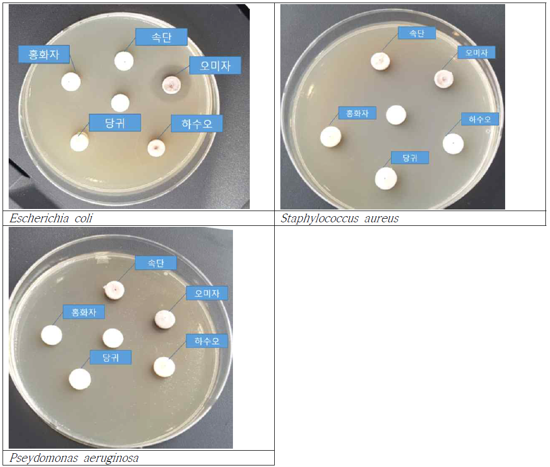 항균활성측정 결과.