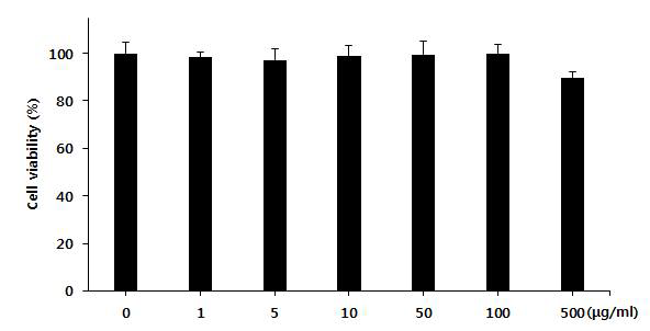 Effects of Schisandra chinensis extract on cell viability in 3T3-L1 cell line.