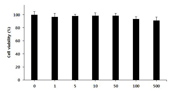 Effects of Dipsacus asperoides extract on cell viability in 3T3-L1 cell line.