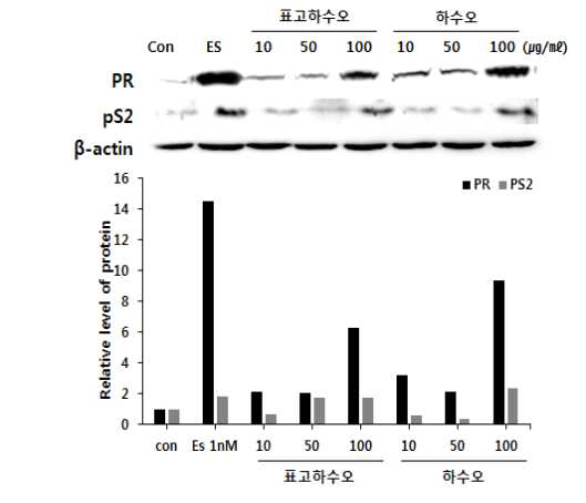 Effect of fermented Fallopia multiflora and Fallopia multiflorain on the expreesion of estrogen-dependent genes.