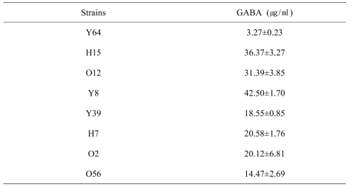분리주의 GABA 함량 정량분석 결과