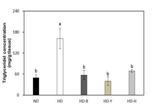 mice 간에서의 총 Triglyceride 함량