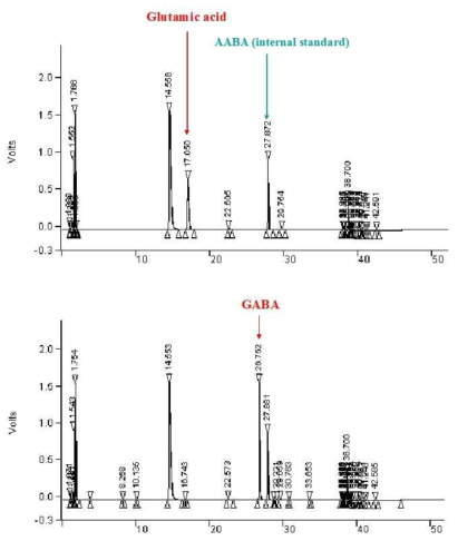 HPLC를 이용한 GABA 정량 분석