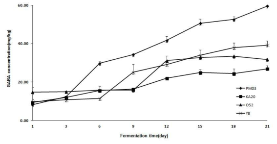 GABA 생성 기능성 젖산균을 포함한 발효소시지의 GABA 함량 변화