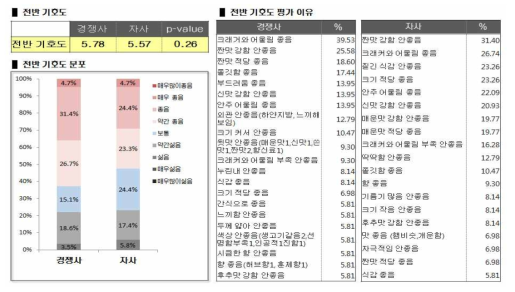 소비자 조사 결과 분석