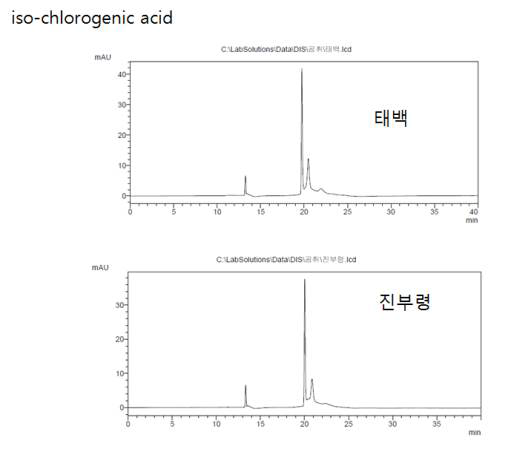 곰취산지별 지표성분 함량 분석