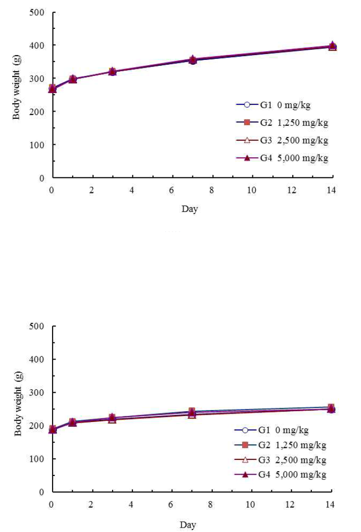 (up)Mean body weights of male SD rats (down)Mean body weights of female SD rats