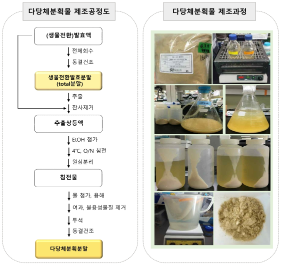 다당체분획물 제조공정도 및 제조과정