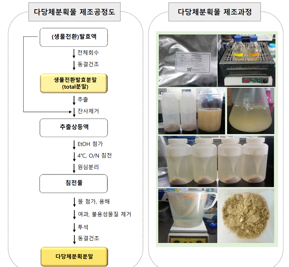 다당체분획물 제조공정도 및 제조과정