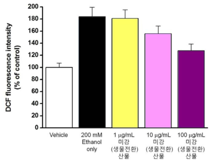 미강(생물전환)산물의 ROS 발생 억제 효과