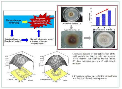 고생산성 균주의 신속선별을 위한 고체성장배지 최적화 체계