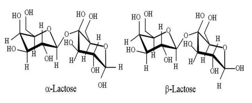 가역적 이성화 (Mutarotation)가 발생하는 α-lactose와 β-lactose의 구조