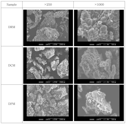 유기농 쌀가루의 Scanning Electron Microscope