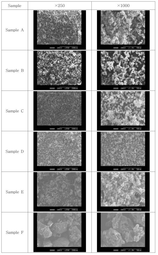 물리적/생물학적 단독 및 복합 처리 유기농 쌀가루의 Scanning Electron Microscope