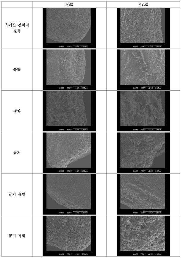 유기산 전처리 쌀스낵의 SEM 미세구조