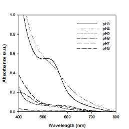 안토시아닌 : 글라이콜 키토산 = 9:1 복합체의 pH에 따른 흡광도