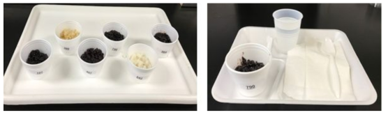 Examples of provided rice samples