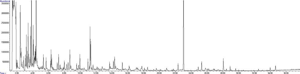 Gas chromatogram of flavor compounds of cooked rice cup cake