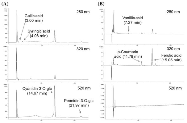 HPLC chromatogram for determination of phenolic acids and anthocyanins in free (A) and bound (B) phenolic fractions of black rice (cv. Sintoheugmi).