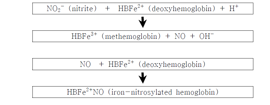 아질산과 일산화질소의 hemoglobin과의 결합