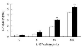 열처리 사멸한 Lactobacillus plantarum L-137의 Iinterleukin-12 유도 효과