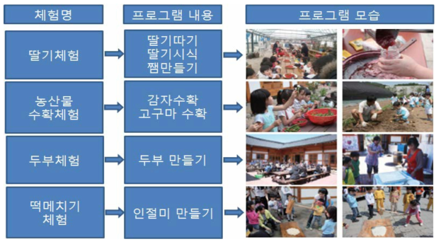 대가농원의 다양한 농업체험프로그램 내용