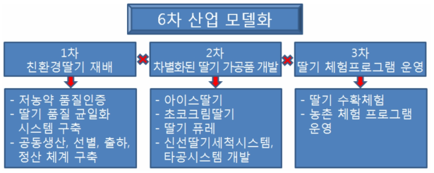 합천 첫눈에 반한 딸기의 1차, 2차, 3차 산업의 유기적인 네트워크를 통한 6차 산업 모델