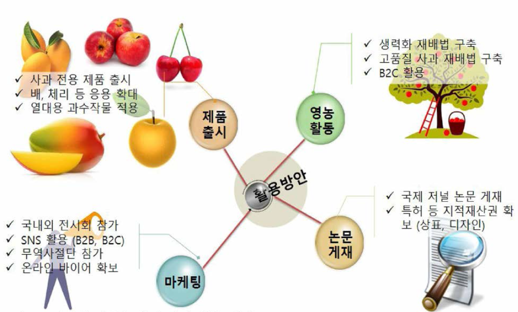 사업화 성공을 위한 성과 활용 방안.