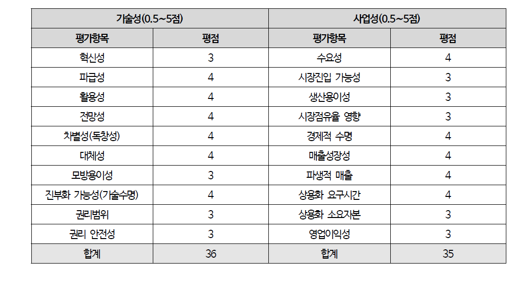 개별기술강도 평가지표