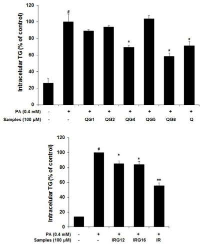 Effect of QGs and IRGs on TG accumulation in palmitate (PA)-induced HepG2 cells . HepG2 cells were seeded into a 12-well plate at a density of 5 x 105 cells per well and grown 24 h. HepG2 cells were treated with QGs, IRGs, and PA (0.4 mM) for 24 h. Triglyceride contents were measured by triglyceride kit (ASAN, Korea). Values are expressed as mean ± SD. #p < 0.05 versus the low glucose media alone-treated group. *p < 0.05 versus the 0.4 mM PA with low glucose media alone-treated group.