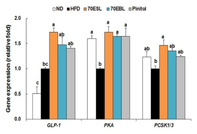 Effects of 70ESL and 70EBL on the relative mRNA expression levels of intestinal genes related toGLP-1 synthesis. The levels of mRNA in tissue were measured by qRT-PCR and normalized to GAPDH expression. Values are presented as mean ± SE, n = 10. a,b,c Means not sharing a common letter are significantly different between groups (P < 0.05).