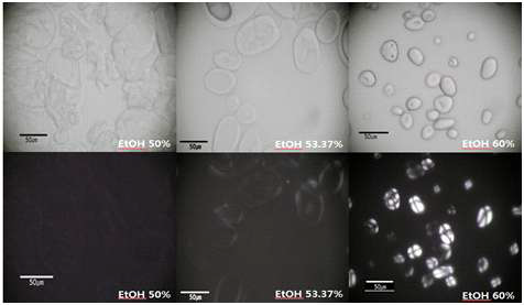 Potato starches heated in aqueous ethanol with different ethanol concentration.