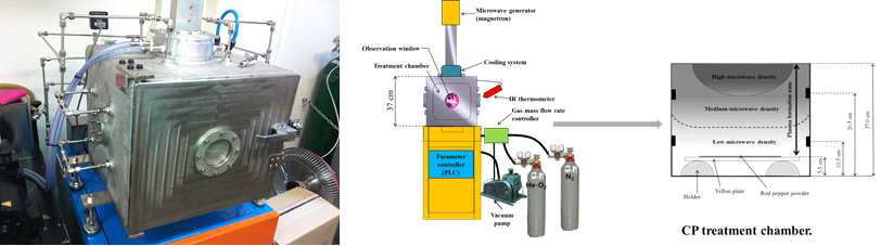Equipment for microwave-discharged low-temperature plasma treatment.