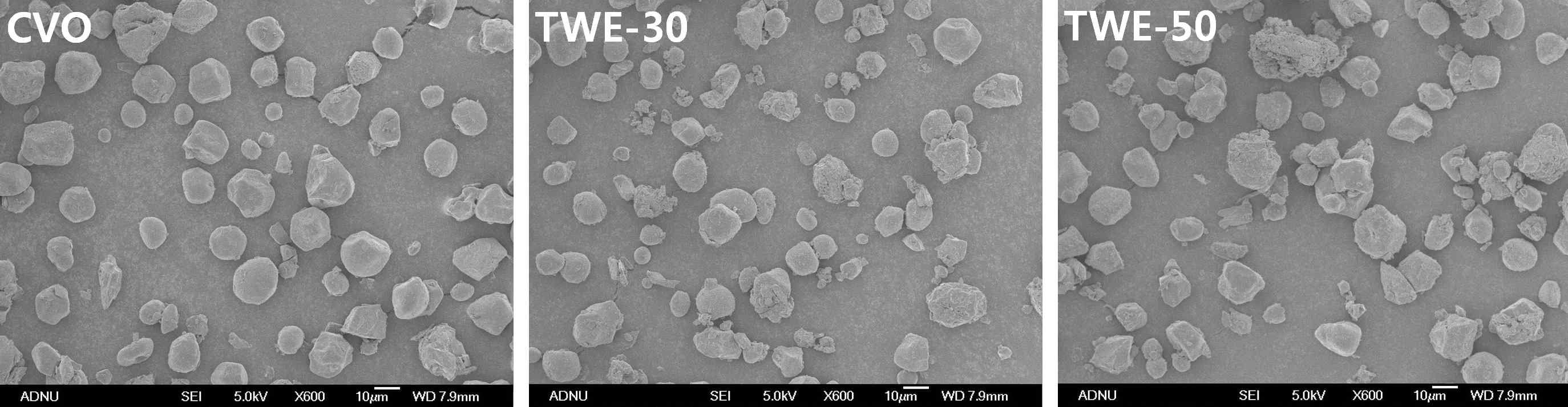 FE-SEM images of citrate starches prepared at pH 3.5 and 40% (s.b) anhydrous citric acid using a convection oven (CVO) and twin-screw extruder (TWE) (scale bar = 10μm). TWE-30 and TWE-50 treated at different screw speeds of 30 and 50 rpm, respectively, under identical REX conditions
