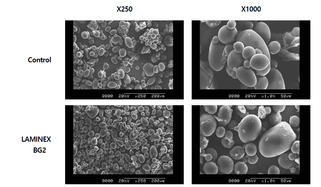 Scanning electron microscope micrographs of potato starch by non-enzyme treatment and LAMINEX BG2 treatment