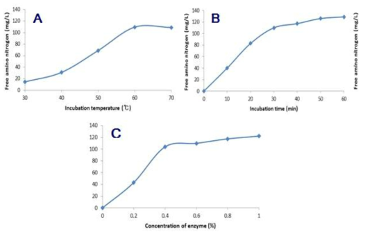 Free amino nitrogen 정량법을 이용한 alcalase 처리 조건별 산양유 단백질의 가 수분해 양상.