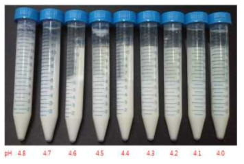 pH 변화에 따른 산양유 케이신의 분리 양상.