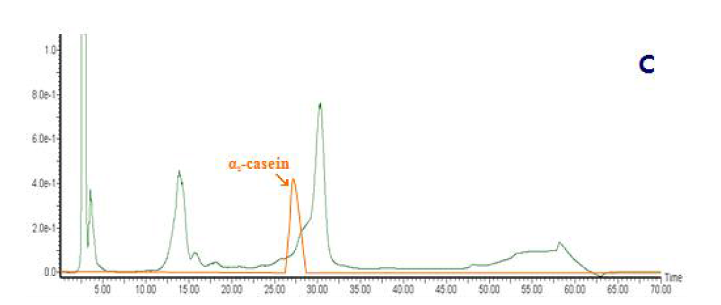 RP-HPLC에 의한 산양유 단백질의 가수분해 양상.