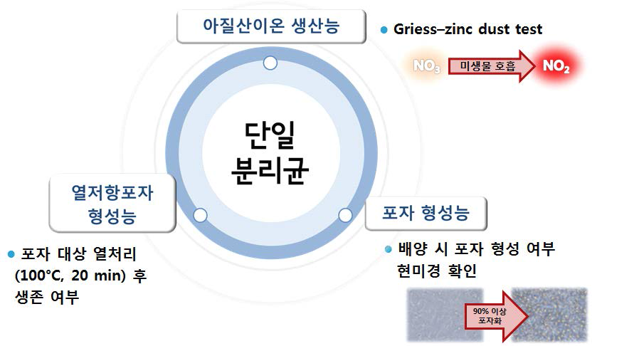 조제분유 생산현장 단일 분리균의 특성연구 항목.