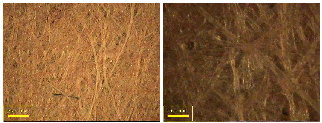 목재펄프와 폐 배지펄프를 혼합(95 : 5)한 수초지의 표면 이미지.