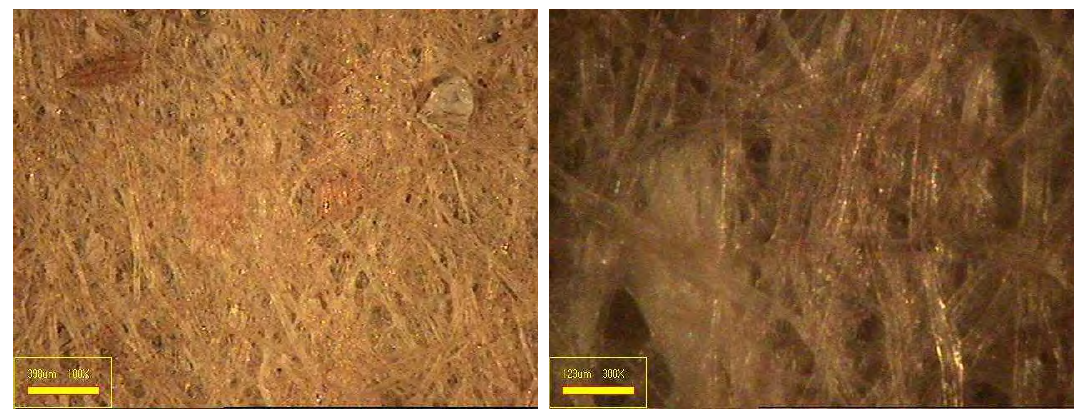 목재펄프와 폐 배지펄프를 혼합(85 : 15)한 수초지의 표면 이미지.