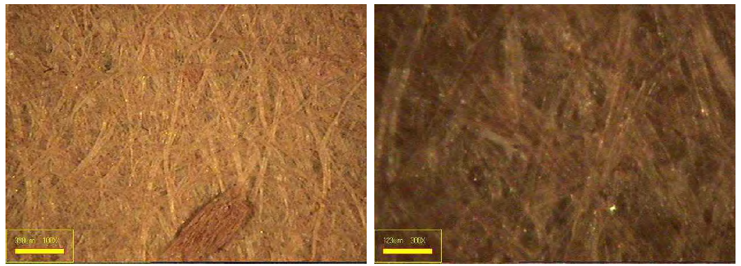 목재펄프, 폐 배지펄프 및 닥섬유를 혼합(95 : 5 : 0)한 수초지의 표면 이미지.