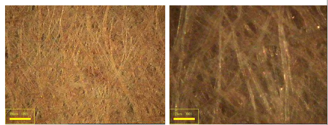 목재펄프, 폐 배지펄프 및 닥섬유를 혼합(75 : 5 : 20)한 수초지의 표면 이미지.