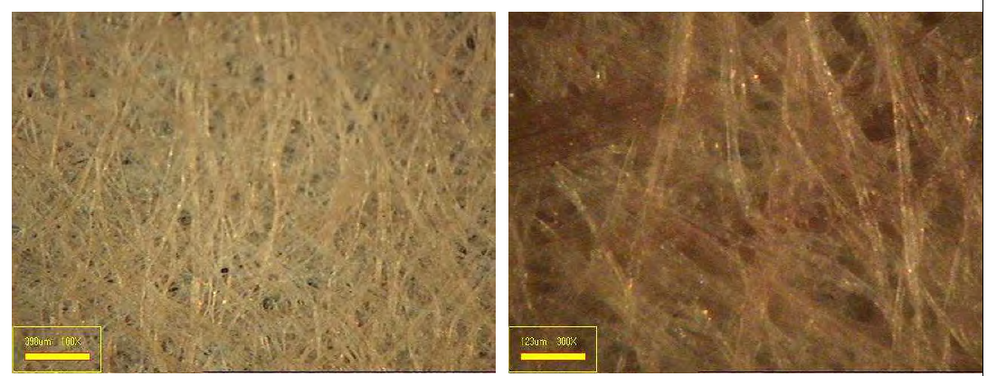 목재펄프, 폐 배지펄프 및 닥섬유를 혼합(55 : 5 : 40)한 수초지의 표면 이미지.