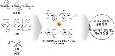 은 나노입자의 Capping