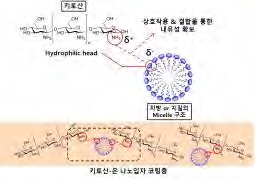 아미노기와 지방의 상호작용을 통한 내유성 확보 메커니즘