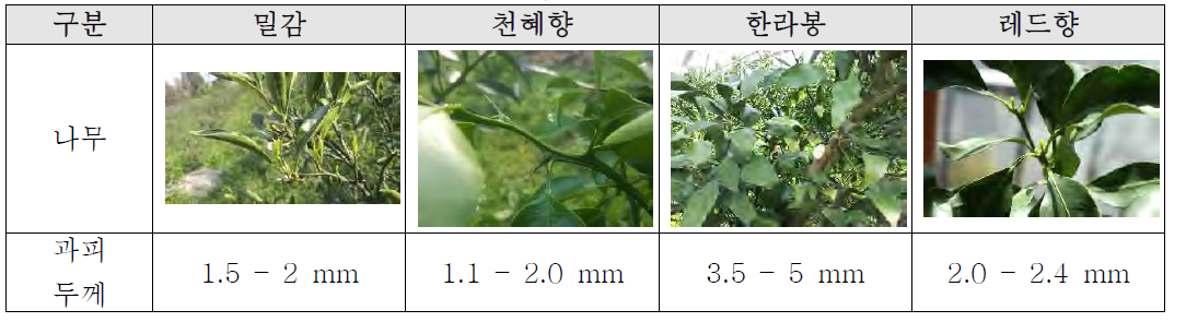 감귤류의 특성