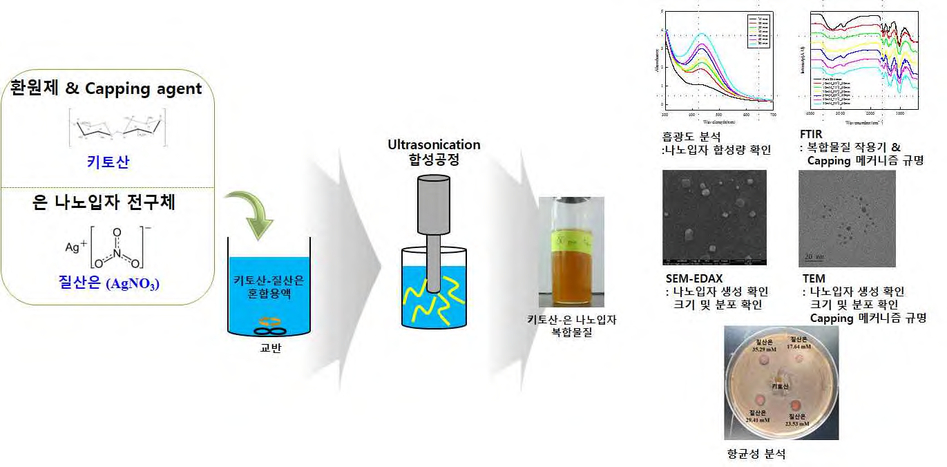 초음파 합성법을 활용한 키토산-은 나노입자 복합물질 제조