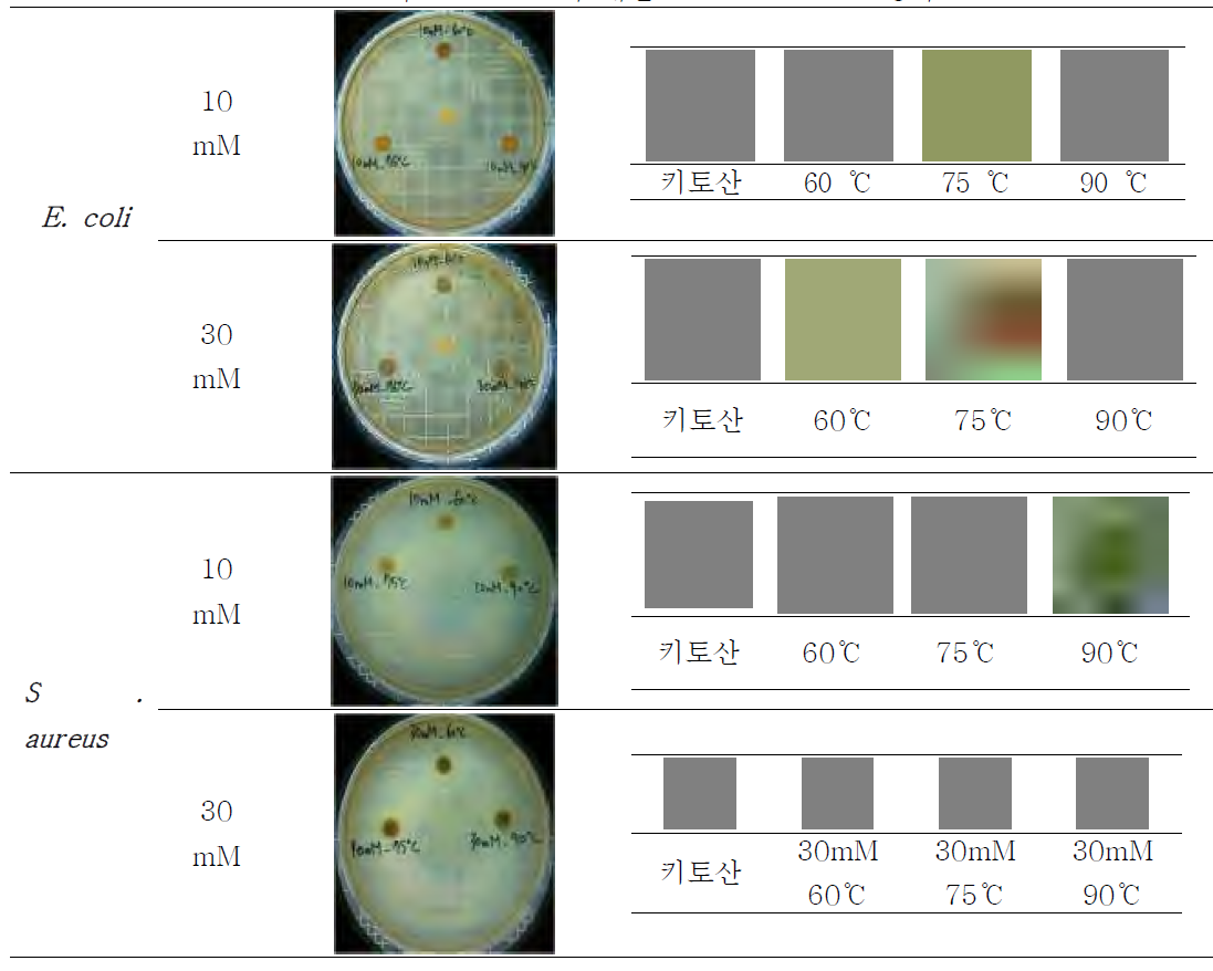 초음파 합성법으로 합성한 키토산-은 나노 복합물질의 E. coli와 S. aureus에 대한 Inhibition zone 평가