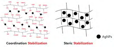 전분을 활용한 은 나노입자의 안정화